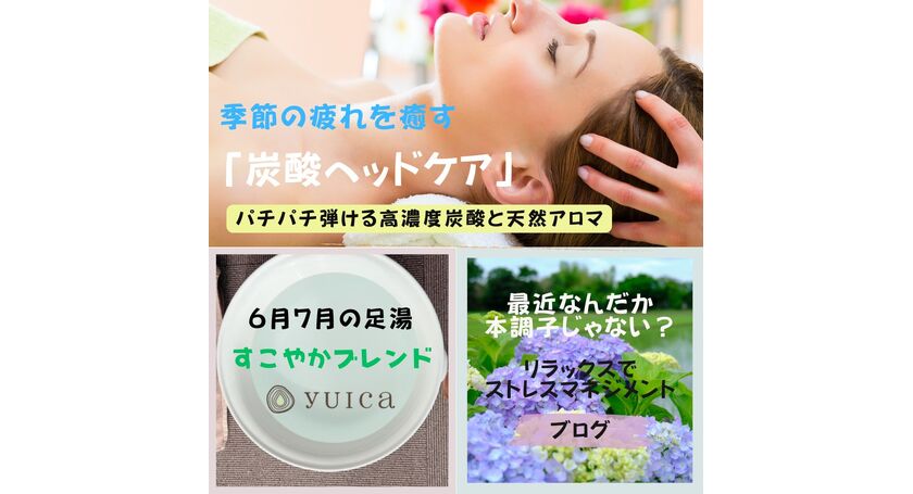 6月のおすすめ