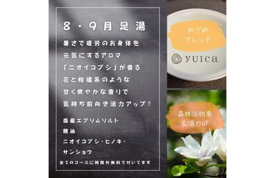 足湯　ニオイコブシ
